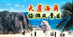 日大逼网站海南三亚-天崖海角旅游风景区